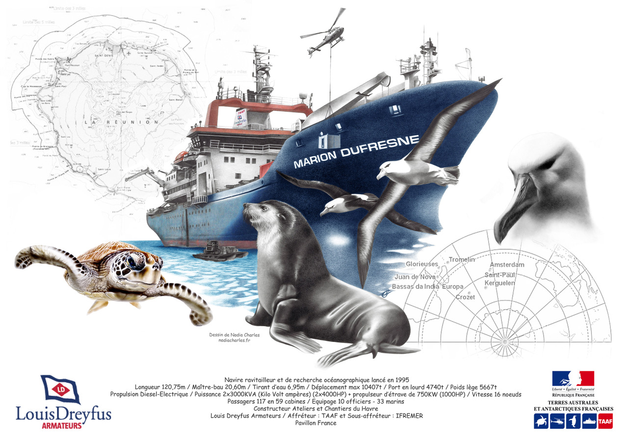 Le navire ravitailleur et océanographique des TAAF, ainsi que plusieurs espèces emblématiques peuplant les districts. © Nadia Charles